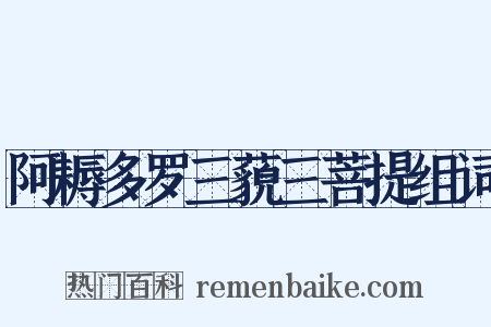 阿耨多罗三藐三菩提组词是什么意思的图片